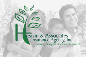 Heavin and Associates Insurance Project Image